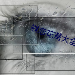 蝶戀花黃大全