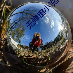 无弹窗小说网 （盐枭）