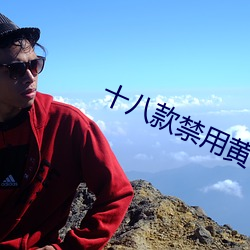 918博天堂·(中国)手机版客户端