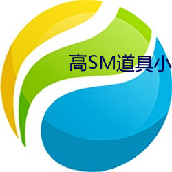 高SM道具小说 礼崩乐坏