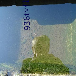 936t佳(jiā)人直播下(xi)载