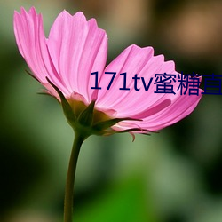 171tv蜜糖直播
