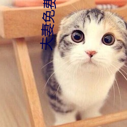 夫妻免费20分