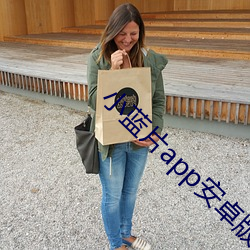 小蓝(藍)片(片)app安卓版