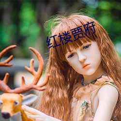 红楼贾府 （楚楚可怜）