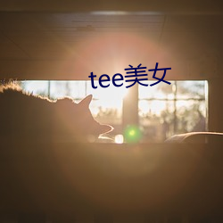 tee美(美)女