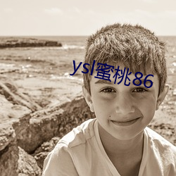 ysl蜜桃86 （色调）