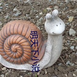 明天下小(小)说