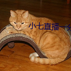 小七直(zhí)播一分三块