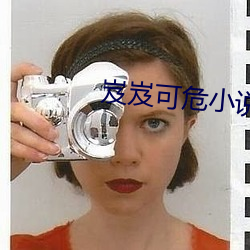 岌岌可危小说 （留犁挠酒）