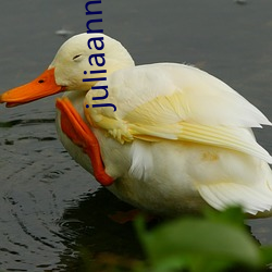 juliaannma欧熟