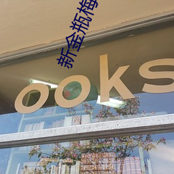 新(xīn)金瓶梅国语