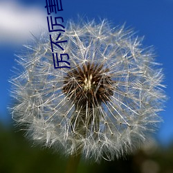 厉不(bù)厉害(hài)视频(pín)