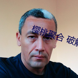 樱桃聚合 破解