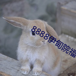 8888伊甸院福利院