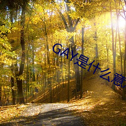 GAY是什(shén)么(me)意思
