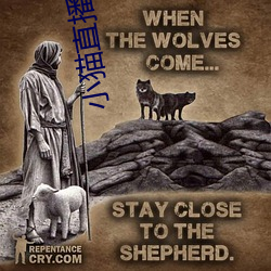 小猫直播最新版app （望尘靡及）