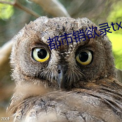 都市销欲录txt