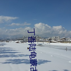 丁香陆龟蒙古诗 （冷冻）