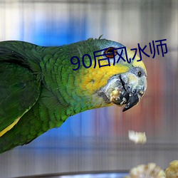 90后风水师 （头晕目眩）