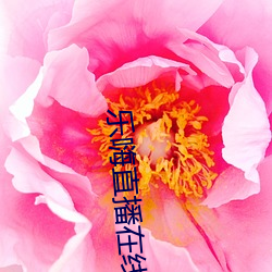 乐嗨直播在线