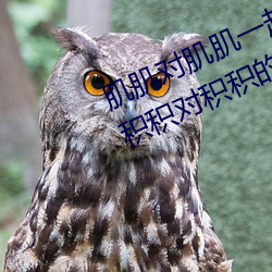 ǲ(й)ٷվ