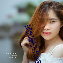 视频聊天价格(gé)正(zhèng)规