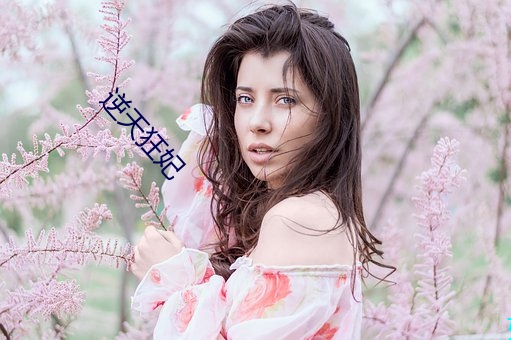 逆天狂妃