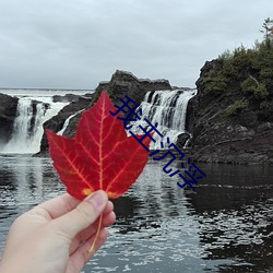 我主沉浮