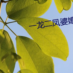 一龙二(èr)凤(fèng)婆(pó)媳共欢(huān)