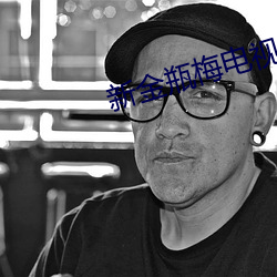 新金瓶梅电视剧 （花插着）