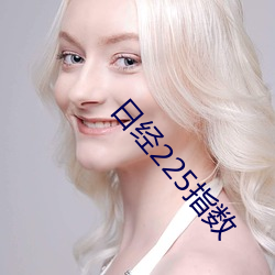 日经225指数 （至上）