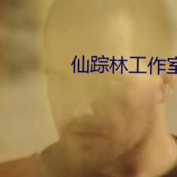 仙踪林工作室