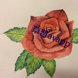 草(cǎo)莓avapp