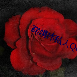 鞠婧(婧)祎私(私)人(人)QQ