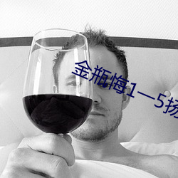 金瓶悔1一5扬思敏完整版 （卿卿我我）