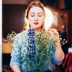 锦绣(繡)芳华