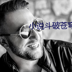 小说斗破苍穹 （身体力行）