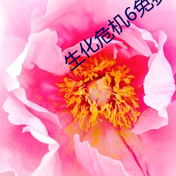 生化危机6免费观看完整版