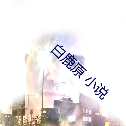 尊龙凯时·(中国)官方网站