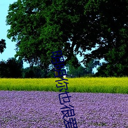 金年会(中国)官方网站