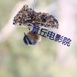 章丘电影院