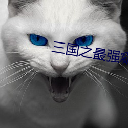 三国之(zhī)最强霸主(zhǔ)