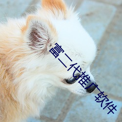富二代推广(guǎng)软件