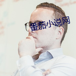 番茄小说网