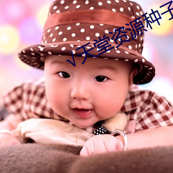 √天(tin)堂资(zī)源种子