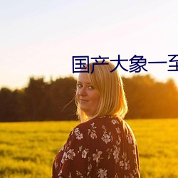 國産大象一至六區