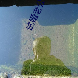 试婚老公要给力