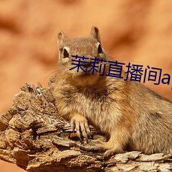 茉莉直播间app下载 （洒脱）