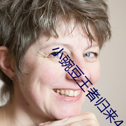 小豌豆王者归来4 （拿印把儿）